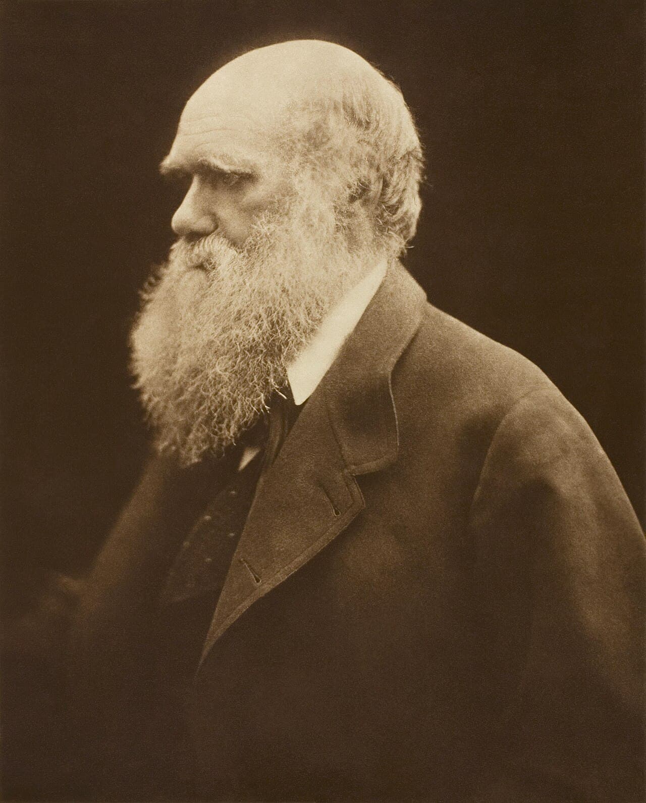 Charles Darwin: The Man Who Changed How Humanity Sees Itself