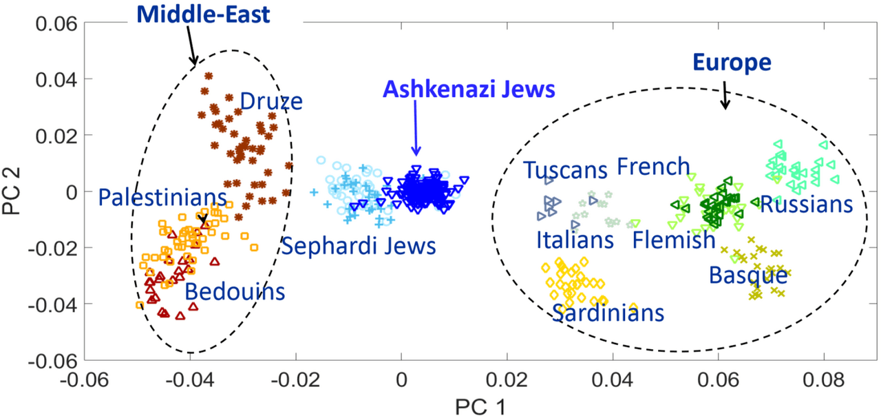 Ashkenazi Jews